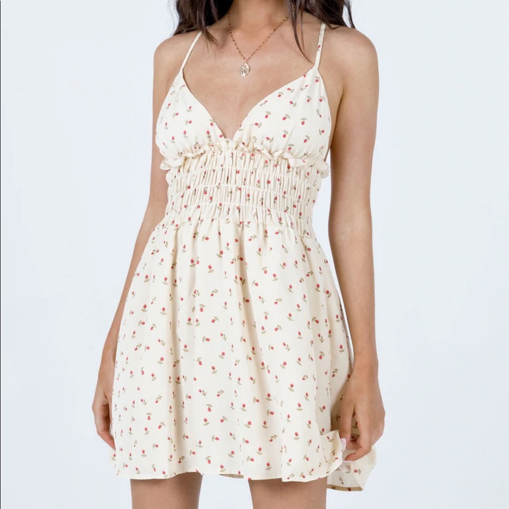 Princess Polly Roza Mini Dress